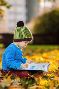 Young boy reading